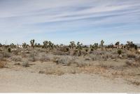 background desert California 0004